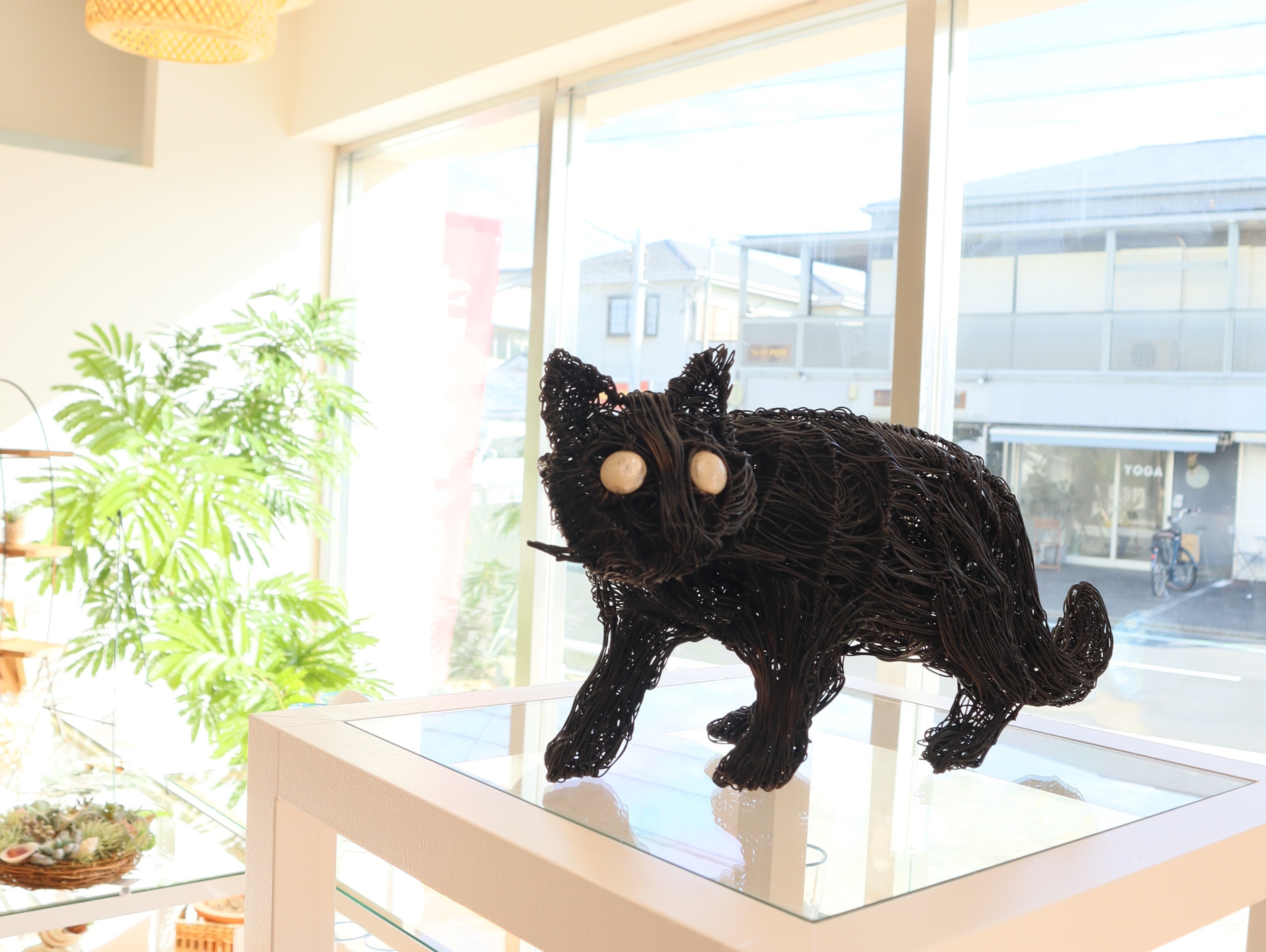 “テンポ６"